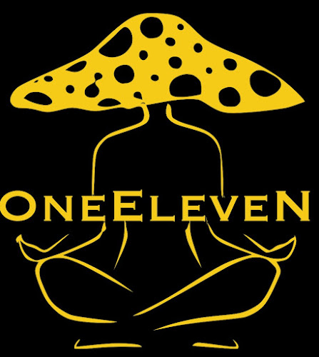 oneeleven shrooms