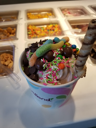 Yogurtland USC